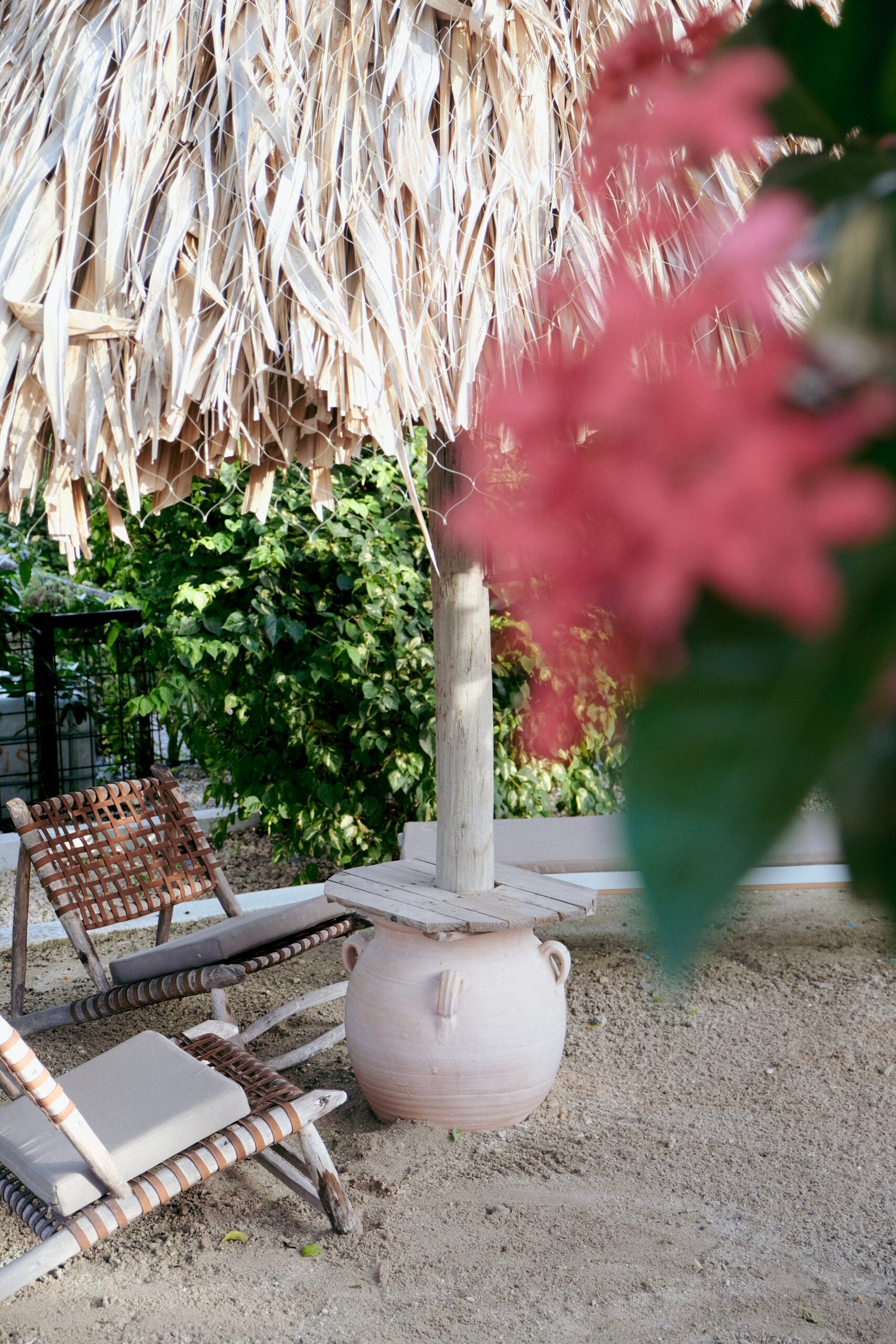 D47F4E6E-2FC0-497C-BB49-18A592C0E6AD-3363-0000065DB1B612D0